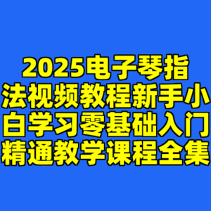 2025电子琴指法视频教程新手小白学习零基础入门精通教学课程全集-cc资源站