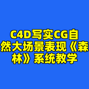 C4D写实CG自然大场景表现《森林》系统教学-cc资源站
