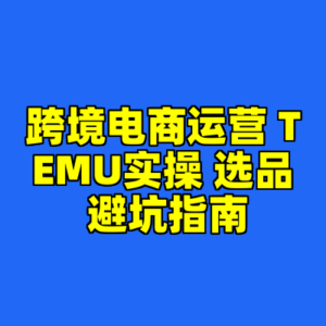 跨境电商运营 TEMU实操 选品 避坑指南-cc资源站