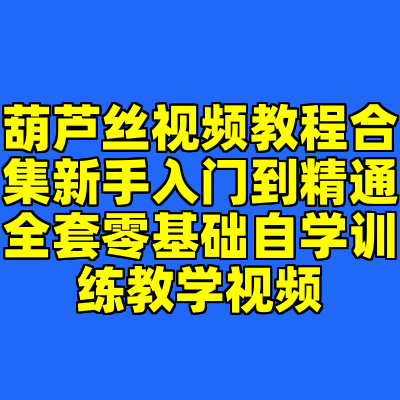 葫芦丝视频教程合集新手入门到精通全套零基础自学训练教学视频