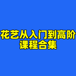 花艺从入门到高阶课程合集-cc资源站