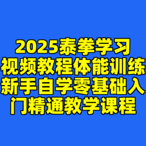 2025泰拳学习视频教程体能训练新手自学零基础入门精通教学课程-cc资源站