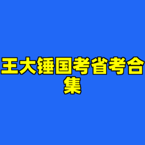 王大锤国考省考合集-cc资源站