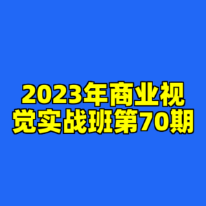 2023年商业视觉实战班第70期-cc资源站