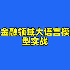 金融领域大语言模型实战-cc资源站
