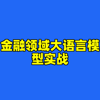 金融领域大语言模型实战