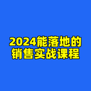 2024能落地的销售实战课程-cc资源站