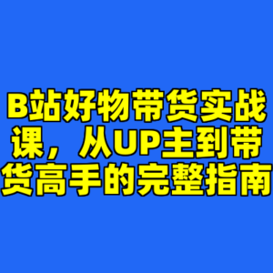 B站好物带货实战课，从UP主到带货高手的完整指南-cc资源站