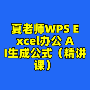 夏老师WPS Excel办公 AI生成公式（精讲课）-cc资源站