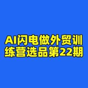 AI闪电做外贸训练营选品第22期-cc资源站