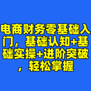 电商财务零基础入门，基础认知+基础实操+进阶突破，轻松掌握-cc资源站