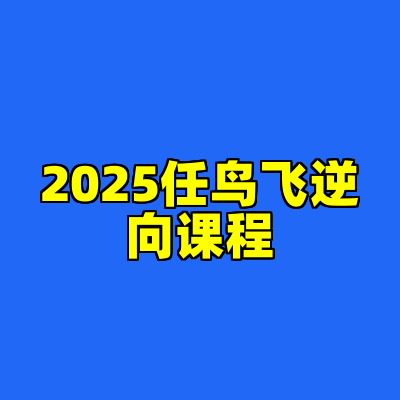2025任鸟飞逆向课程
