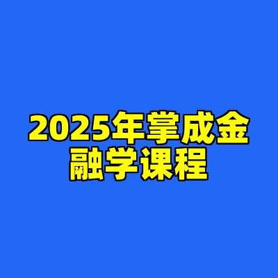 2025年掌成金融学课程