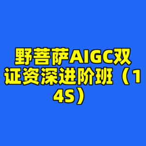 野菩萨AIGC双证资深进阶班（14S）-cc资源站