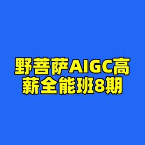 野菩萨AIGC高薪全能班8期-cc资源站