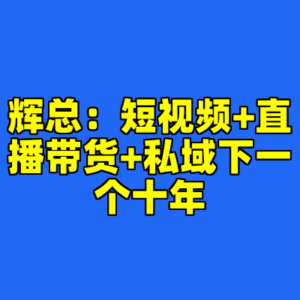 辉总：短视频+直播带货+私域下一个十年-cc资源站