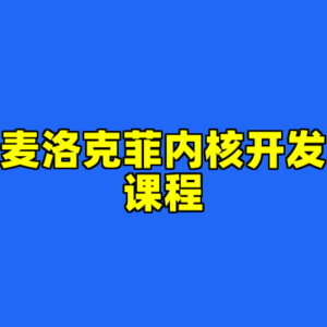 麦洛克菲内核开发课程-cc资源站