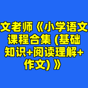 文老师《小学语文课程合集 (基础知识+阅读理解+作文) 》-cc资源站