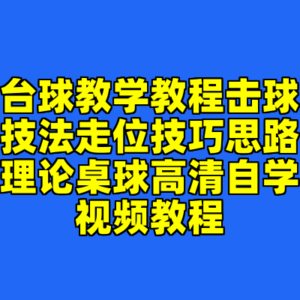 台球教学教程击球技法走位技巧思路理论桌球高清自学视频教程-cc资源站