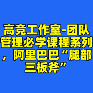 高竞工作室-团队管理必学课程系列，阿里巴巴“腿部三板斧”-cc资源站
