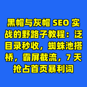 黑帽与灰帽 SEO 实战的野路子教程：泛目录秒收，蜘蛛池搭桥，霸屏截流，7 天抢占首页暴利词-cc资源站