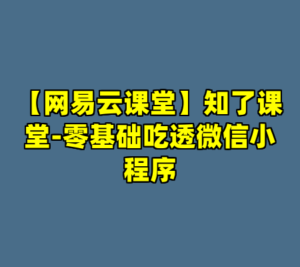 【网易云课堂】知了课堂-零基础吃透微信小程序-cc资源站