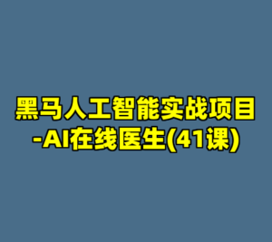 黑马人工智能实战项目-AI在线医生(41课)-cc资源站