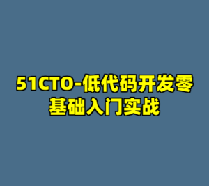 51CTO-低代码开发零基础入门实战-cc资源站