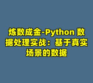 炼数成金-Python 数据处理实战：基于真实场景的数据-cc资源站