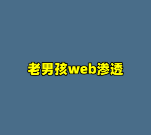 老男孩web渗透-cc资源站