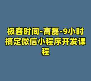 极客时间-高磊-9小时搞定微信小程序开发课程-cc资源站