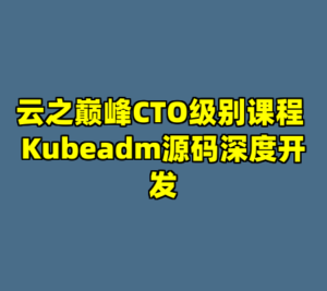 云之巅峰CTO级别课程 Kubeadm源码深度开发-cc资源站