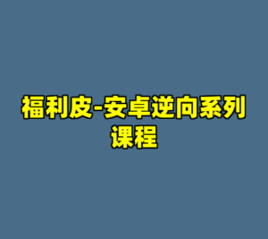 福利皮-安卓逆向系列课程-cc资源站