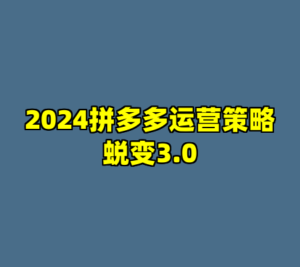2024拼多多运营策略蜕变3.0-cc资源站