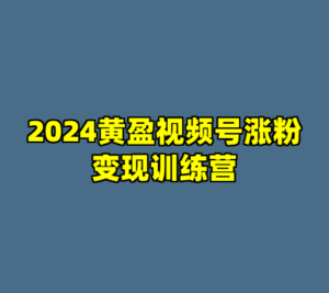 2024黄盈视频号涨粉变现训练营-cc资源站
