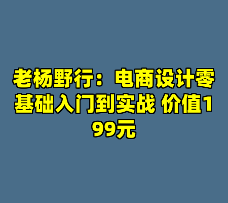 老杨野行：电商设计零基础入门到实战 价值199元