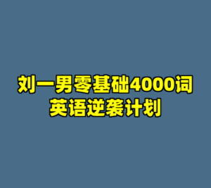 刘一男零基础4000词英语逆袭计划-cc资源站