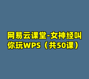 网易云课堂-女神经叫你玩WPS（共50课）-cc资源站