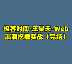 极客时间-王昊天-Web 漏洞挖掘实战（完结）-cc资源站