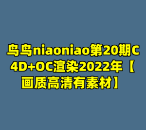 鸟鸟niaoniao第20期C4D+OC渲染2022年【画质高清有素材】-cc资源站