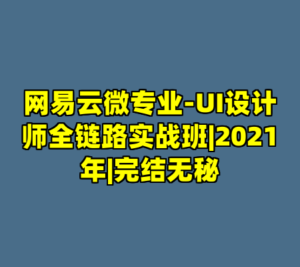 网易云微专业-UI设计师全链路实战班|2021年|完结无秘-cc资源站