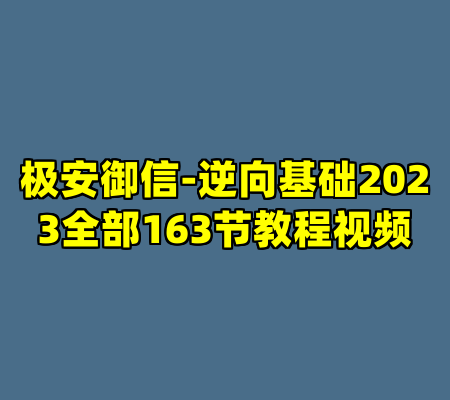 极安御信-逆向基础2023全部163节教程视频