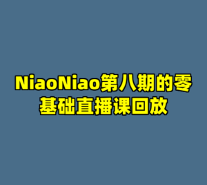 NiaoNiao第八期的零基础直播课回放-cc资源站