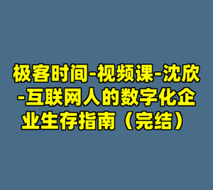 极客时间-视频课-沈欣-互联网人的数字化企业生存指南（完结）-cc资源站