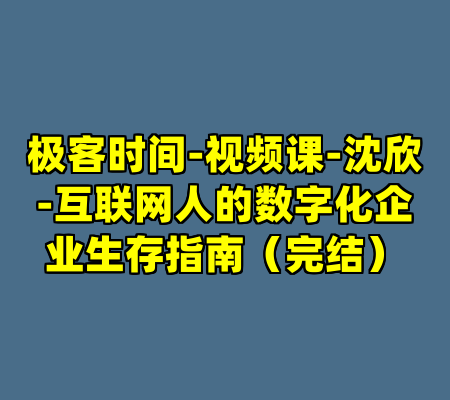 极客时间-视频课-沈欣-互联网人的数字化企业生存指南（完结）