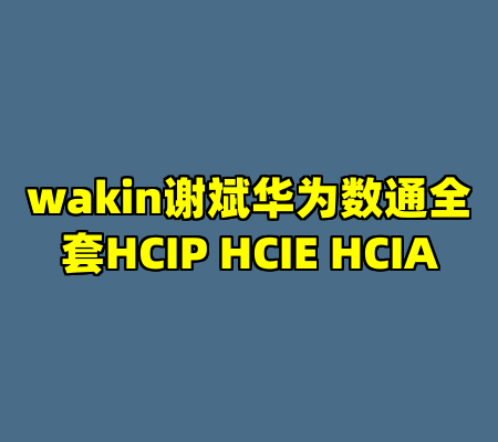 wakin谢斌华为数通全套HCIP HCIE HCIA