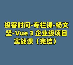 极客时间-专栏课-杨文坚-Vue 3 企业级项目实战课（完结）-cc资源站