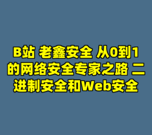 B站 老鑫安全 从0到1的网络安全专家之路 二进制安全和Web安全-cc资源站