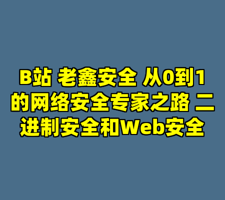 B站 老鑫安全 从0到1的网络安全专家之路 二进制安全和Web安全