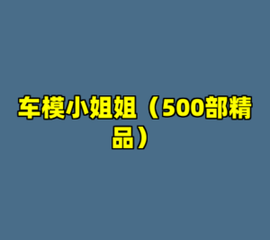 车模小姐姐（500部精品）-cc资源站